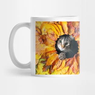 Autumn cat Mug